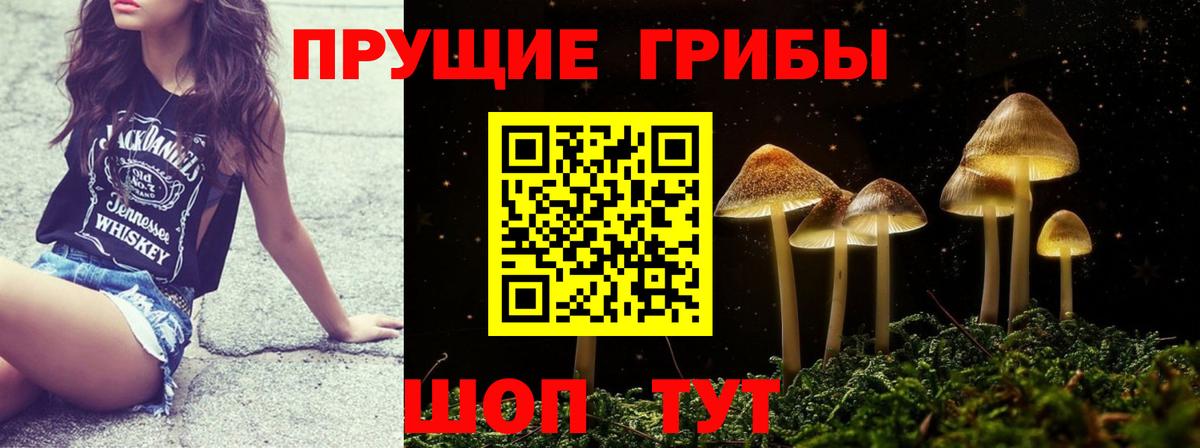 Псилоцибиновые грибы мицелий Гусиноозёрск