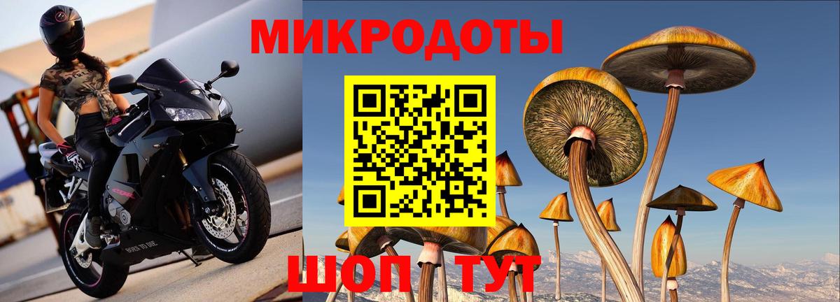 Галлюциногенные грибы мицелий  Вход с VPN  Гусиноозёрск 